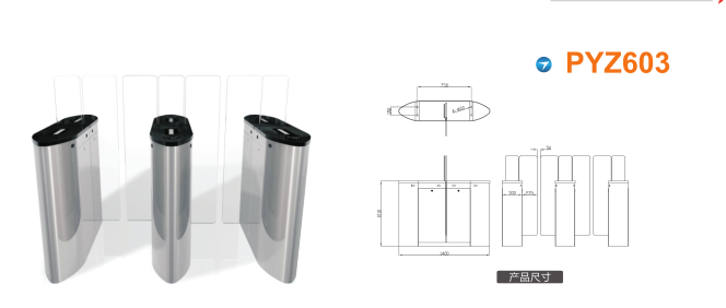 安国市平移闸PYZ603